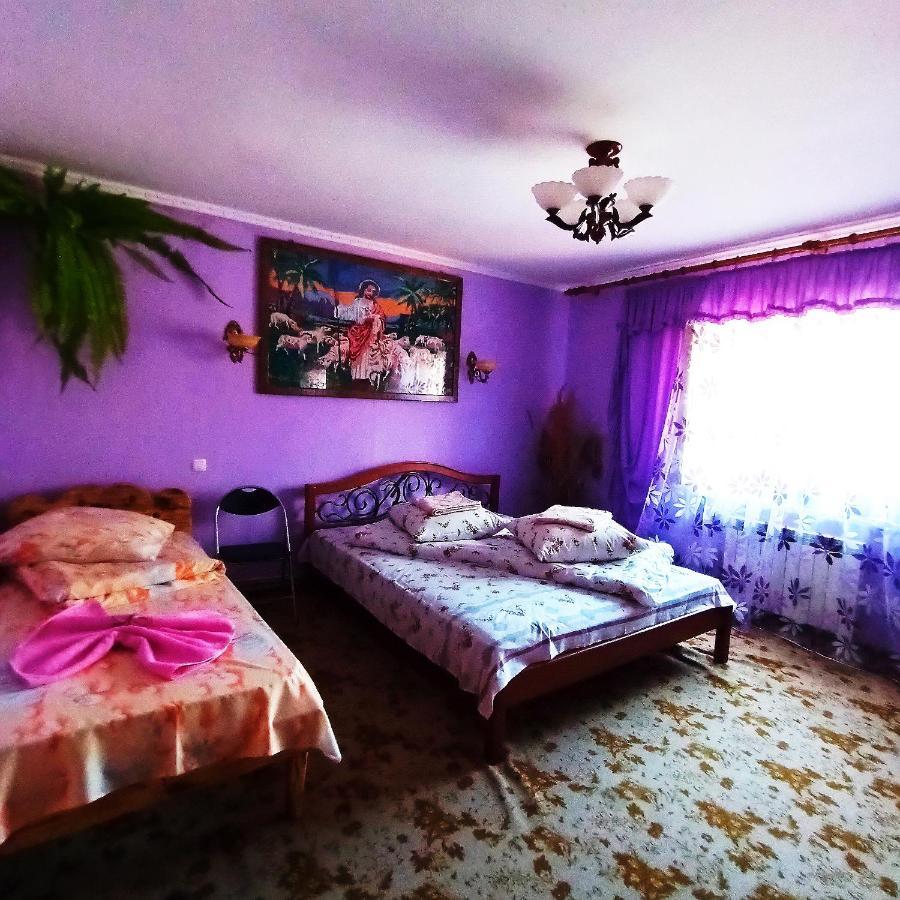 Садиба" У Василя" Volovets Dış mekan fotoğraf